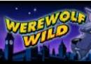 werewolfwild1