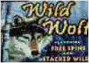wildwolfslots1