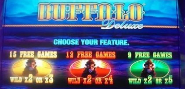 Casino Regulators Lean On Dps For Casino Id System - Saipan Slot Machine